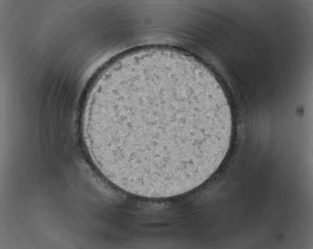 X0000115850975200912242034