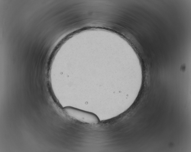 X0000115850976200912242034