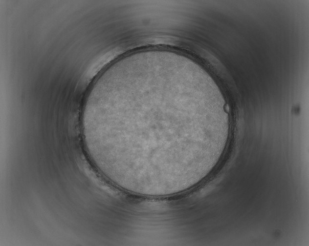 X0000115850977200912242034