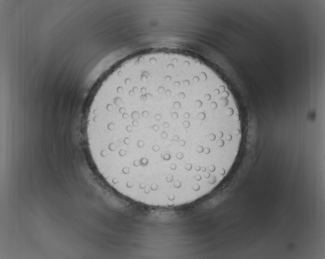 X0000115850978200912242034