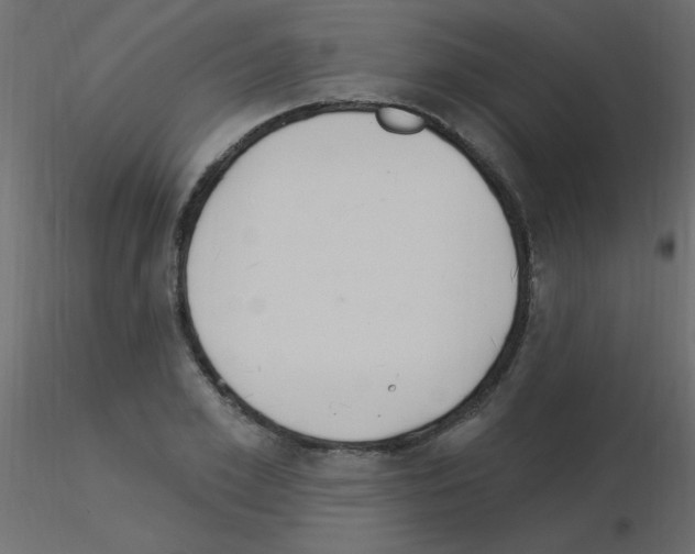 X0000115850981200912242034
