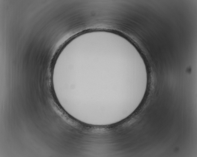X0000115850982200912242034