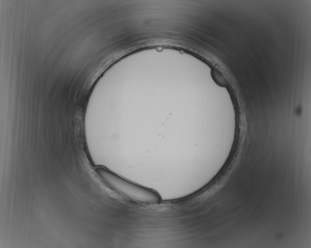 X0000115850993200912242034