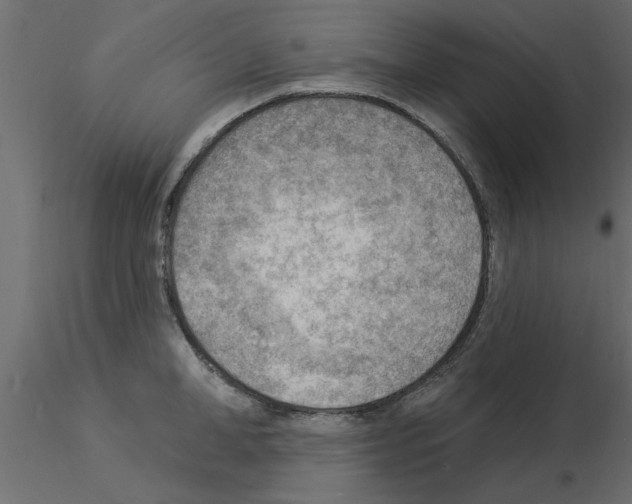 X0000115850998200912242034