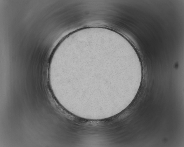X0000115851000200912242034