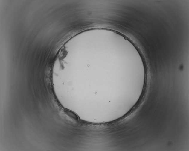 X0000115851001200912242034