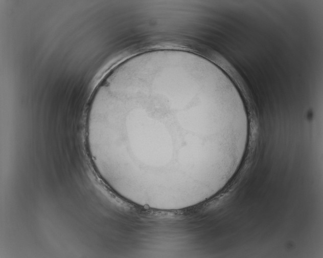 X0000115851002200912242034