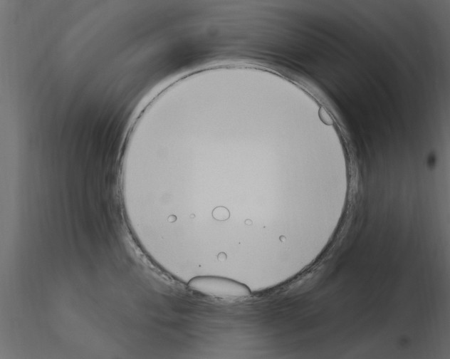 X0000115851004200912242034