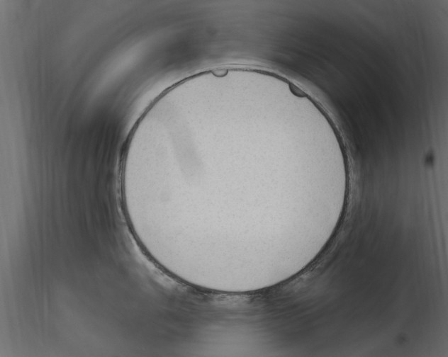 X0000115851006200912242034