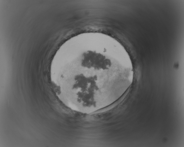X0000115851009200912242033