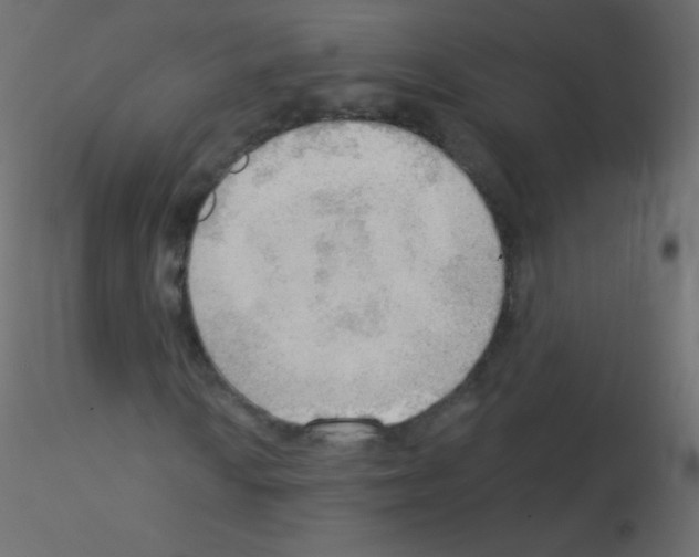 X0000115851010200912242033