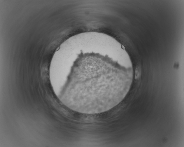 X0000115851011200912242033