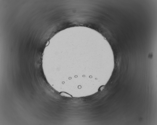 X0000115851012200912242033
