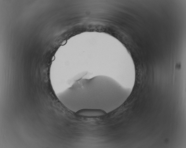 X0000115851013200912242033