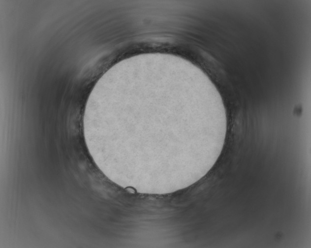 X0000115851014200912242033