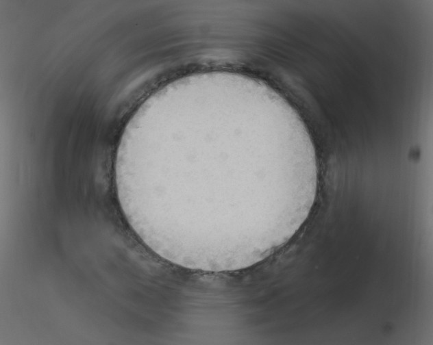 X0000115851015200912242033