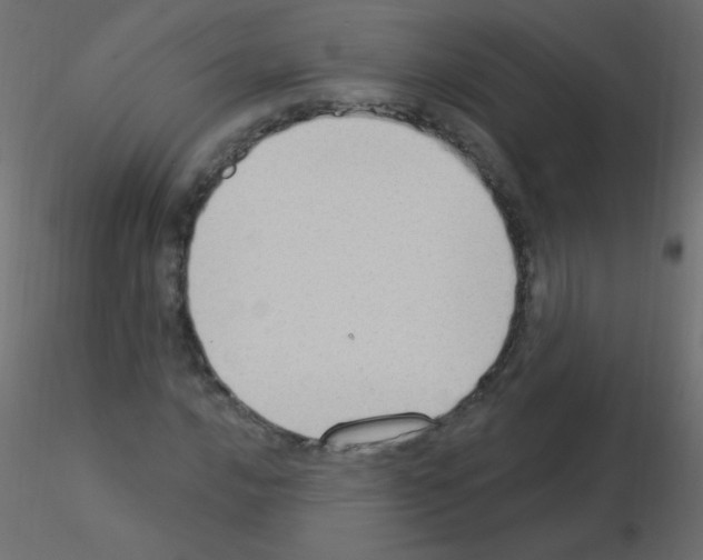 X0000115851016200912242033