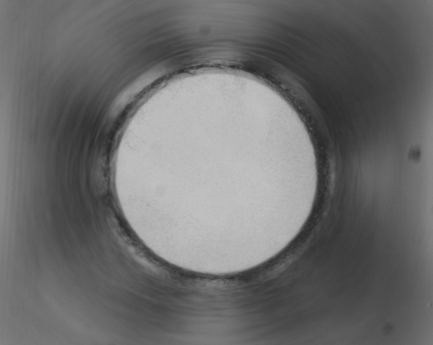 X0000115851018200912242033
