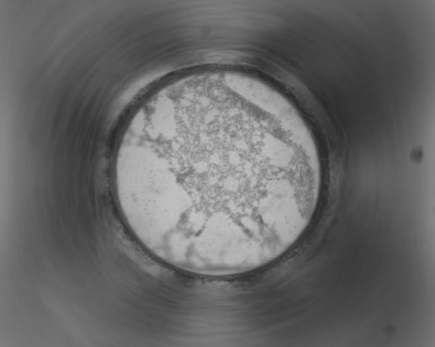 X0000115851019200912242033