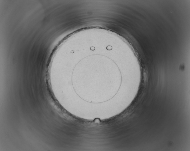 X0000115851020200912242033