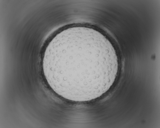 X0000115851021200912242033