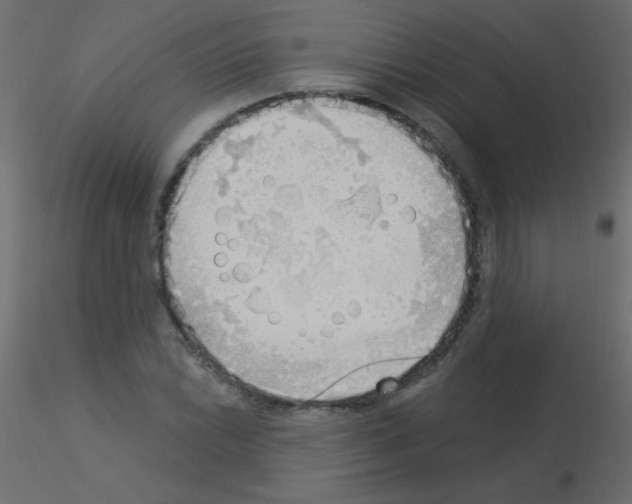 X0000115851022200912242033