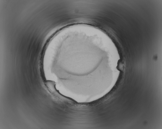 X0000115851024200912242033