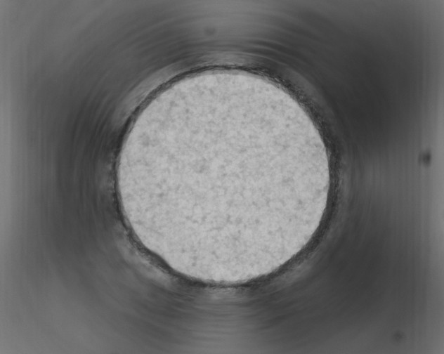 X0000115851025200912242033