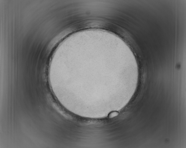 X0000115851026200912242033