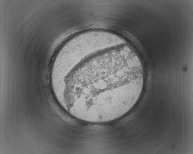 X0000115851027200912242033
