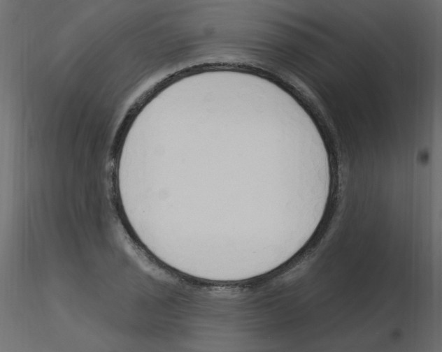 X0000115851029200912242033