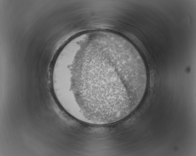 X0000115851031200912242033