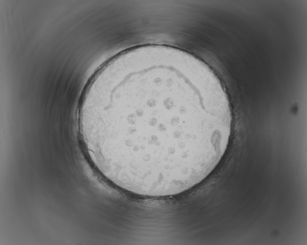 X0000115851032200912242033