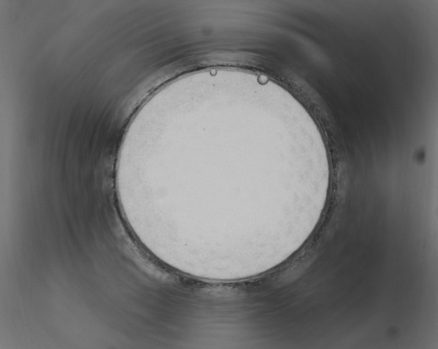 X0000115851033200912242033