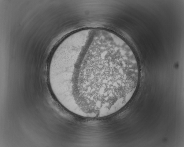 X0000115851035200912242033