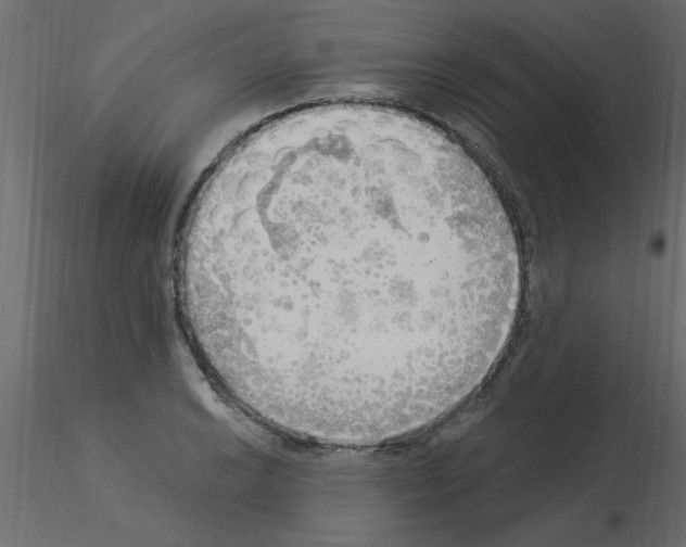 X0000115851038200912242033