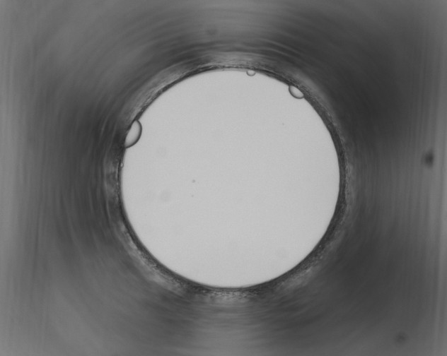 X0000115851041200912242033