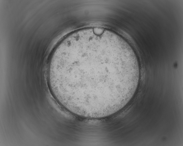 X0000115851043200912242033