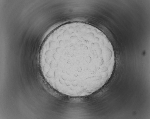 X0000115851044200912242033