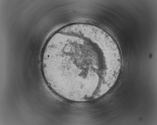 X0000115851045200912242033