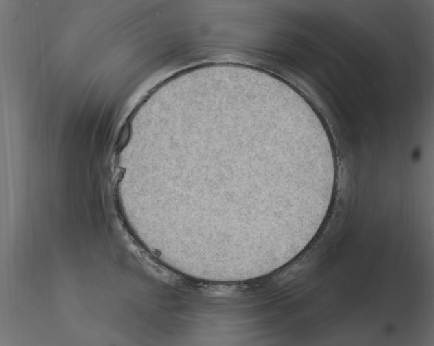 X0000115851048200912242033