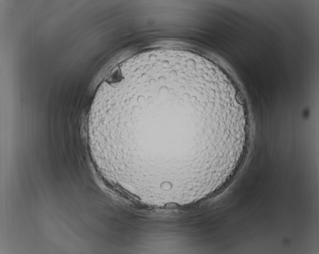 X0000115851049200912242033