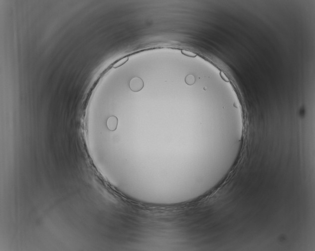 X0000115851051200912242033