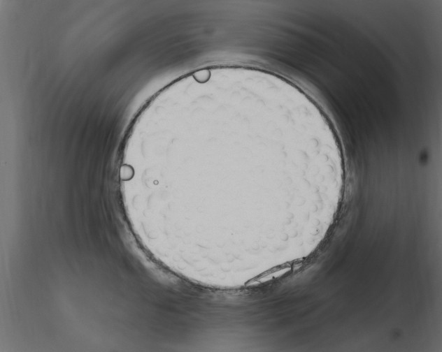 X0000115851053200912242034