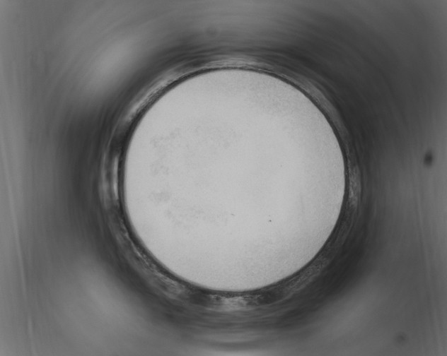 X0000115851054200912242034