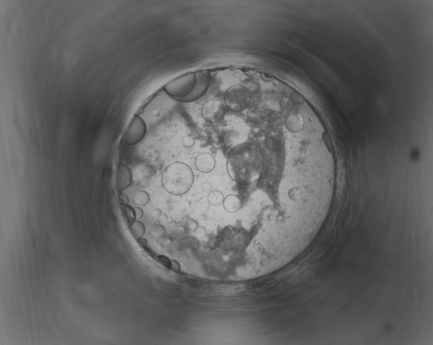 X0000115851055200912242034