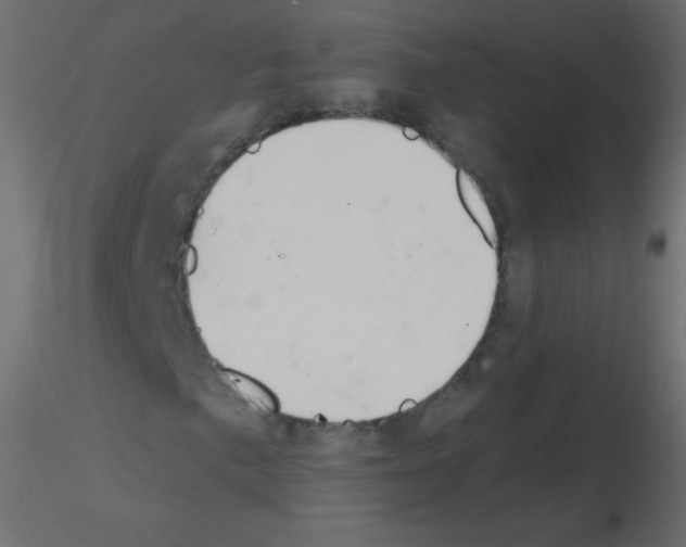 X0000115851057200912242033
