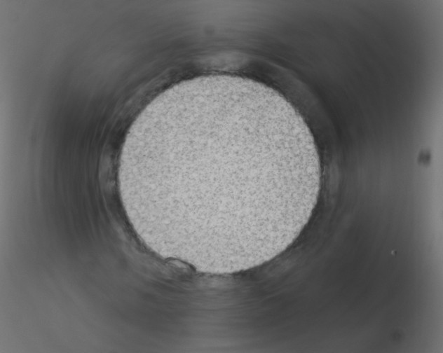 X0000115851058200912242033