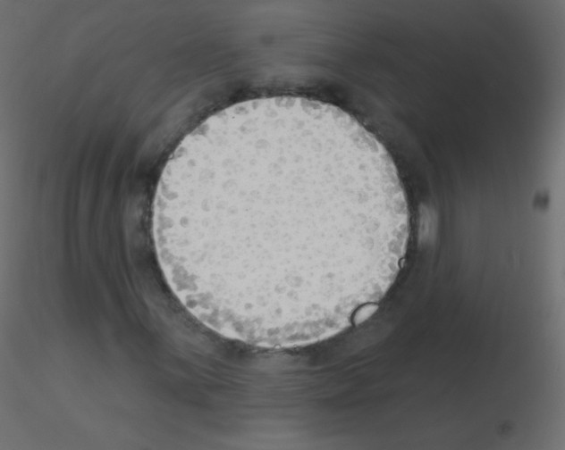 X0000115851059200912242033