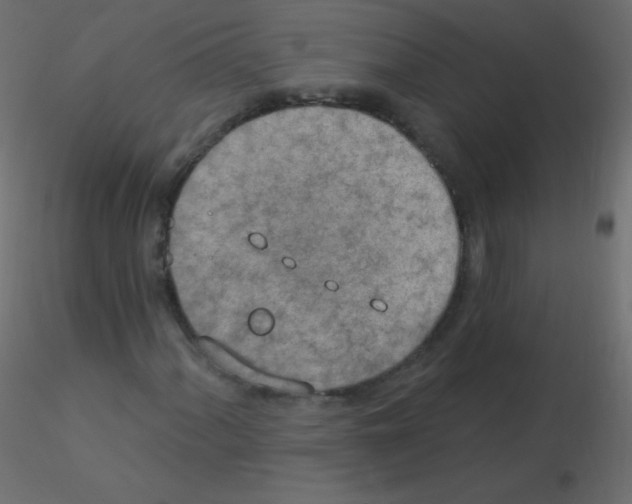 X0000115851060200912242033